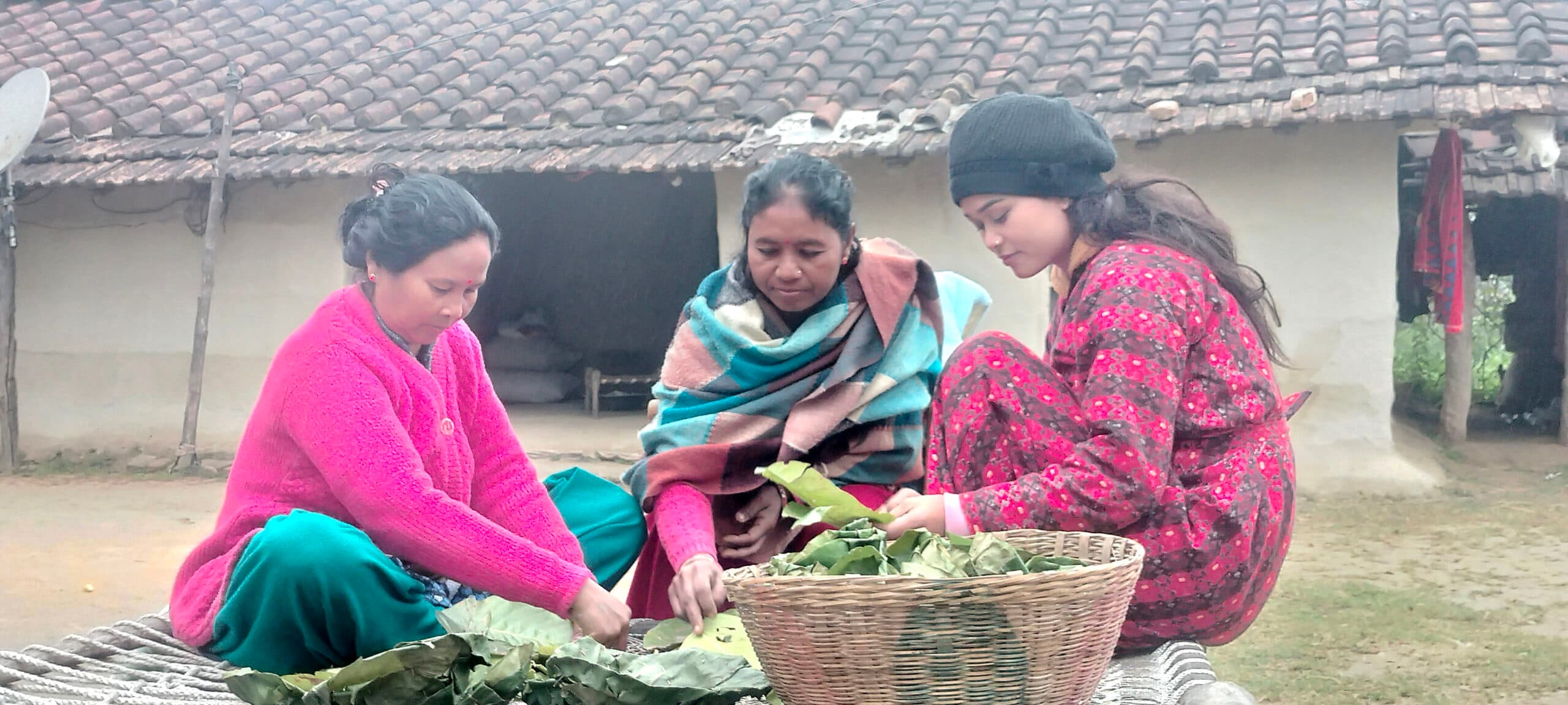 सालको पातबाट दुनाटपरी बनाउँदै कञ्चनपुरका महिला, गाउँमै रोजगारी र आम्दानी - Image 1