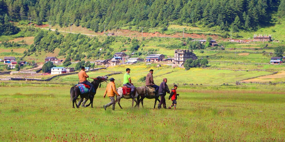 अविचलित जीवित सीमास्तम्भ गोपाल कोइराला - Image 8
