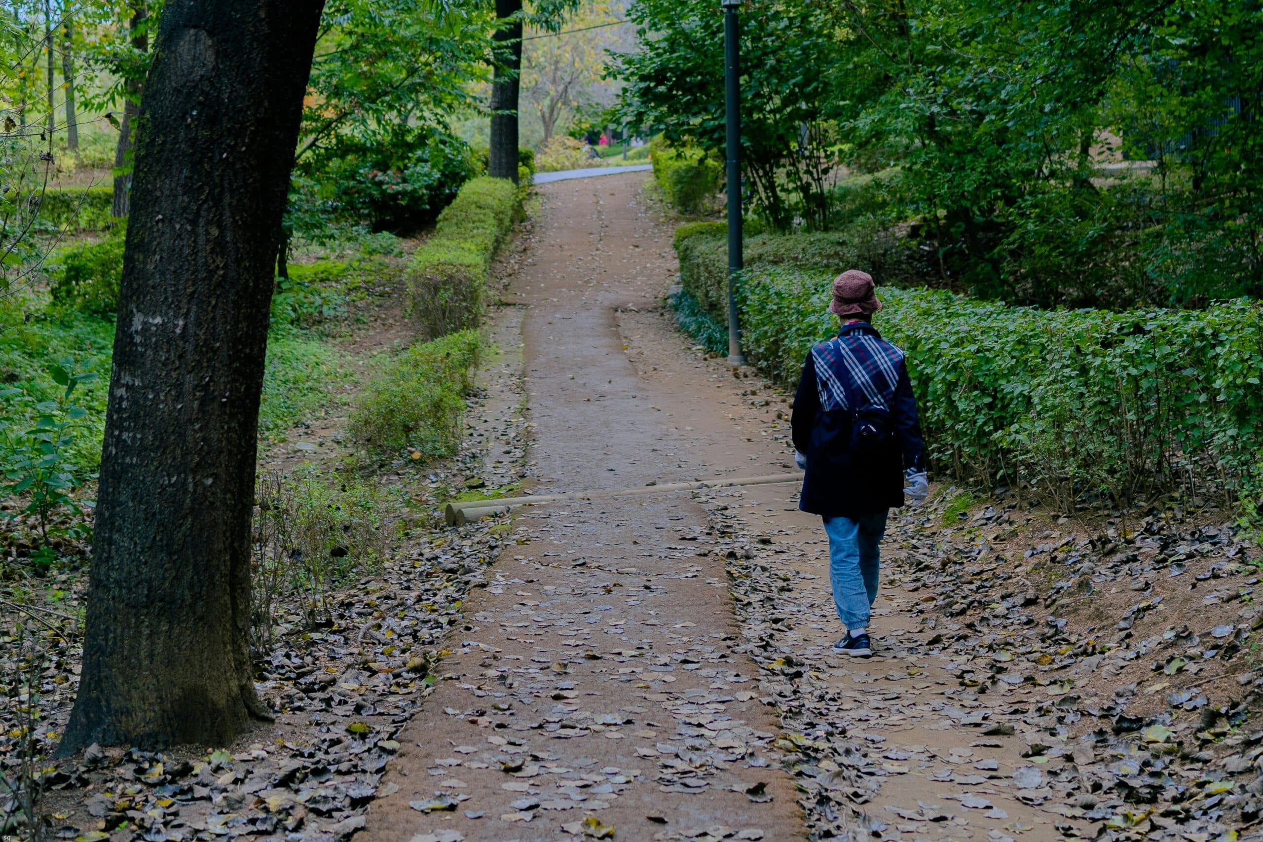 Do we really need 10,000 steps a day? - Image 2