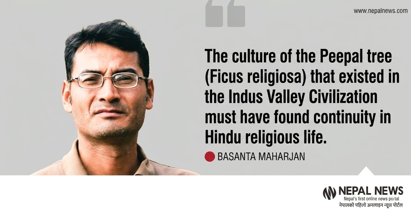 Peepal tree: From Indus Valley sacred symbol to Hindu tradition - Image 1