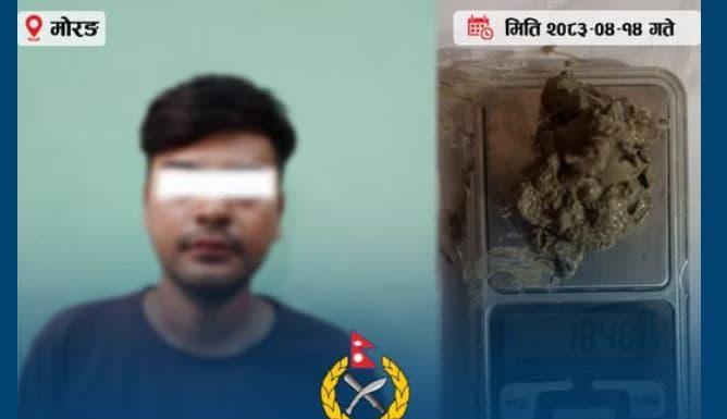 विराटनगर विमानस्थलबाट काठमाडौँ पठाउन लागिएको पार्सलमा ब्राउन सुगर फेला - Image 2