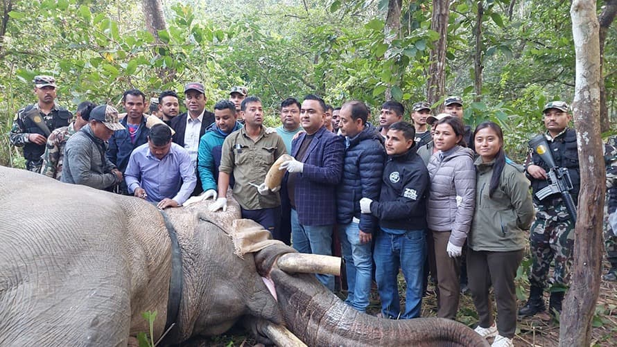 साउन २६ देखि नाइमा मोबिलिटी एक्स्पो - Image 43