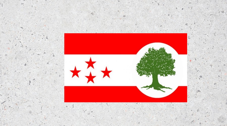 कांग्रेसमा बढ्दो ध्रुवीकरण रोक्न दोस्रो पुस्ताको मेलमिलाप पहल - Image 1