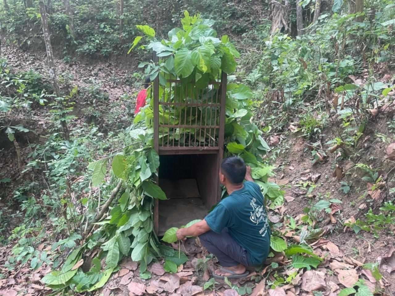 चितुवालाई नियन्त्रणमा लिन दुई ठाउँमा खोर - Image 2