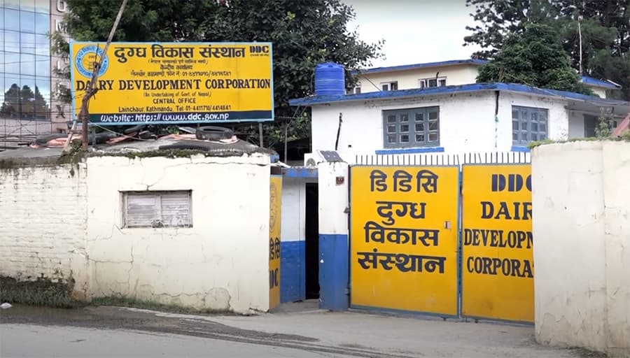 अतिरिक्त खर्च कटौती र आक्रामक बजारीकरण : नाफाको बाटोमा डिडिसी - Image 1