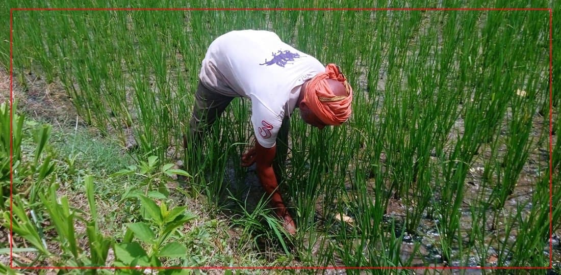 साउन २६ देखि नाइमा मोबिलिटी एक्स्पो - Image 17