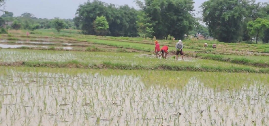 वारुणयन्त्र बिग्रिएपछि भद्रपुरमा आपतकालीन सेवा बन्द - Image 21