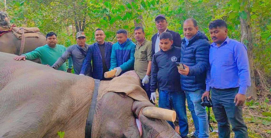 साउन २६ देखि नाइमा मोबिलिटी एक्स्पो - Image 41
